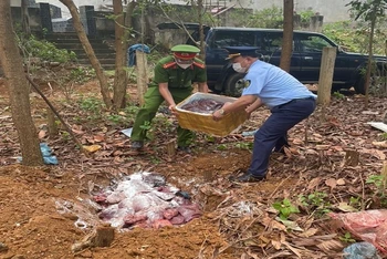 Lực lượng chức năng tiêu hủy số hàng hóa là thực phẩm bẩn.