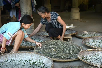 Nghề nuôi tằm ở bản Hoa Tiến, xã Châu Tiến, huyện Quỳ Châu, tỉnh Nghệ An. (Ảnh: VŨ LINH)