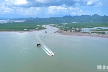 Cộng đồng chung tay góp phần bảo vệ màu xanh của biển.