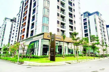 Nhà lưu trú công nhân tại phường Thạnh Mỹ Lợi, thành phố Thủ Đức quy mô 1.040 căn, mới đưa vào sử dụng giai đoạn 1 (hơn 300 căn).