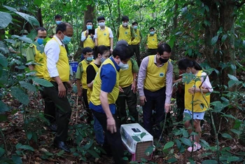 Vườn quốc gia Cúc Phương (Ninh Bình) tổ chức cho khách du lịch tham gia thả động vật hoang dã về rừng.