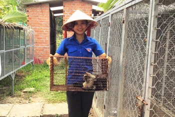 Phan Lê Thúy Vi khoe cặp chồn hương sinh sản.