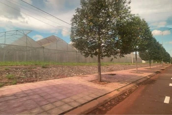 Một góc dự án nhà màng thuộc Trung tâm ứng dụng công nghệ sinh học Đồng Nai.