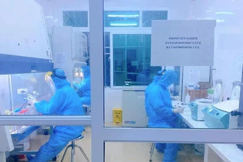 Các mẫu xét nghiệm của CDC Thái Bình và Trung tâm y tế huyện Tiền Hải (tỉnh Thái Bình) đối với người liên quan tại trường Mầm non xã Nam Hà đều âm tính với Covid-19.