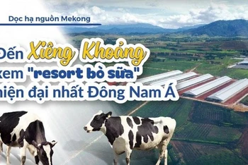 Đến Xiêng Khoảng xem 'resort bò sữa' hiện đại nhất Đông Nam Á