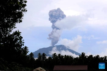 Ảnh do Cơ quan quản lý thảm họa Quốc gia Indonesia (BNPB) cung cấp cho thấy núi lửa Ibu nhìn từ West Halmahera Regency ở Tỉnh Bắc Maluku, Indonesia. Ảnh: Tân Hoa xã