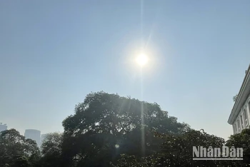 Dự báo Hà Nội ngày nắng, đêm không mưa. (Ảnh minh họa: Đ.T)