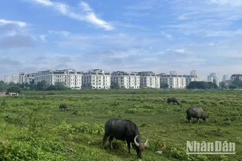 Dự báo khu vực Hà Nội ngày nắng, có nơi nắng nóng. (Ảnh minh họa: Đ.T)