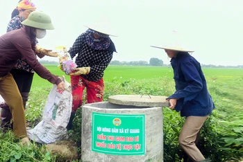 Hội viên Hội Nông dân xã Kỳ Giang, huyện Kỳ Anh, tỉnh Hà Tĩnh thu gom vỏ thuốc bảo vệ thực vật trên đồng ruộng. (Ảnh PHAN LÝ)