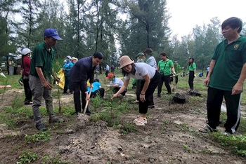 Người dân thành phố Huế tham gia trồng cây trên bãi biển.