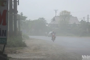 Ảnh minh họa. (Ảnh: SƠN BÁCH)
