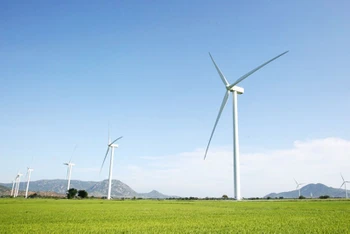 Điện gió Ninh Thuận. (Ảnh: VĂN GIANG)