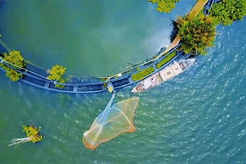 Hấp dẫn Búng Bình Thiên