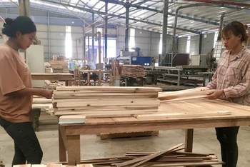 Sản xuất gỗ xuất khẩu tại Công ty Cổ phần TAVICO (Đồng Nai).