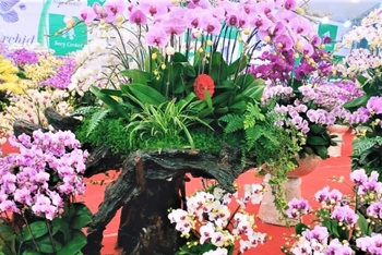 Rộn ràng không khí Tết từ những đường hoa tại Bắc Ninh.