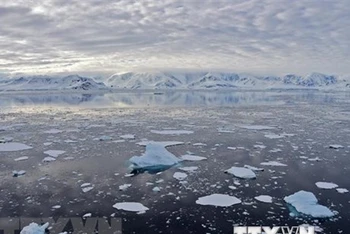Băng trôi tại Vịnh Chiriguano, quần đảo Nam Shetland, Nam Cực, ngày 7/11/2019. (Ảnh: AFP/TTXVN)