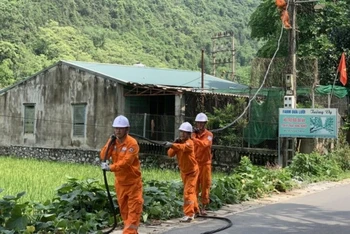 Công ty Điện lực Thái Nguyên sửa chữa, thay thế đường dây khi không bảo đảm cấp điện an toàn, ổn định.