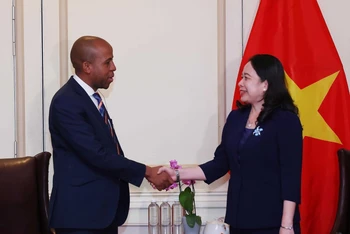 Phó Chủ tịch nước Võ Thị Ánh Xuân gặp gỡ doanh nghiệp Nam Phi.