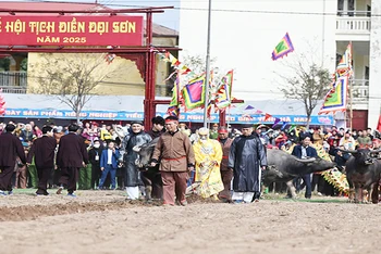 Một bô lão thực hiện nghi lễ nhập linh khí quân vương bước xuống đi những sá cày đầu tiên mở hội Tịch điền.
