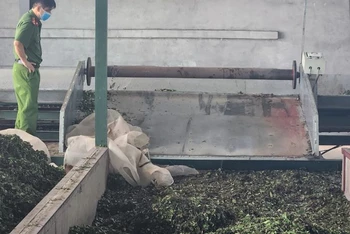 Hiện trường vụ việc tại xưởng chế biến chè tại thôn Gốc Xanh, xã Phú Nghĩa, huyện Lạc Thủy.