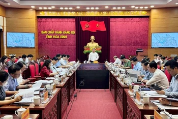 Các đại biểu dự Hội nghị.