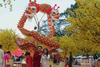 [Ảnh] Mai vàng rực rỡ Lễ hội Tết Việt Giáp Thìn 2024