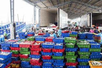 Quy hoạch hàng hóa thông qua Cảng biển Sóc Trăng từ 30,7 triệu tấn đến 41,2 triệu tấn.