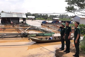 Lực lượng Quân đội kiểm tra công tác phòng, chống thiên tai ven sông Đồng Nai.