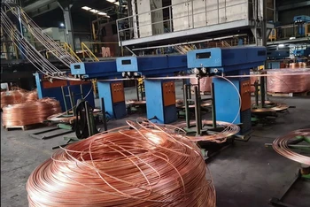 Cục thuế tỉnh Đồng Nai chuyển hồ sơ Công ty LIOA Đồng Nai sang cơ quan Công an điều tra làm rõ dấu hiệu trốn thuế.