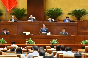 Xây dựng các chính sách hỗ trợ đồng bào dân tộc thiểu số có trọng tâm, trọng điểm