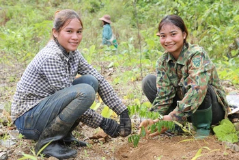 Dự án "Mang rừng về vườn cà-phê" đang chứng minh thành công trong việc triển khai mô hình kinh doanh bền vững tại địa phương.