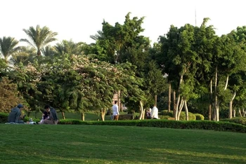 Mảng xanh tại Công viên Al-Azhar ở Cairo, Ai Cập. (Ảnh minh họa: Xinhua)