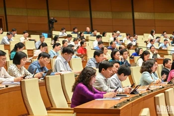 Các đại biểu Quốc hội làm việc tại hội trường, chiều 13/5/2025. (Ảnh: BÙI GIANG)