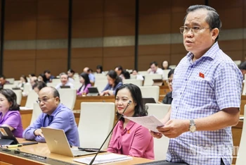 Đại biểu Nguyễn Tâm Hùng (Bà Rịa-Vũng Tàu) phát biểu. (Ảnh: DUY LINH)