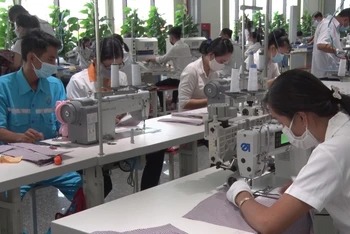 Sản xuất tại công ty may Thái Tuấn, Long An.