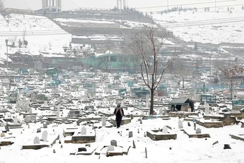 Một người đàn ông đi trong nghĩa trang phủ đầy tuyết ở thủ đô Kabul, Afghanistan, ngày 11/1/2023. (Ảnh: Reuters)