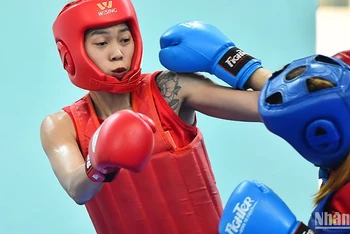 Đội tuyển quốc gia môn Kun Bokator Việt Nam được thành lập từ đầu tháng 3/2023, ông Lê Công Bút làm huấn luyện viên trưởng cùng 15 vận động viên được lựa chọn kỹ càng, tiêu biểu đại diện cho võ thuật cổ truyền Việt Nam.