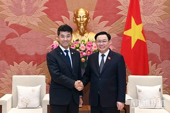 Chủ tịch Quốc hội Vương Đình Huệ và Chủ tịch Đảng Dân chủ lập hiến Nhật Bản Izumi Kenta tại buổi tiếp. (Ảnh: Duy Linh)