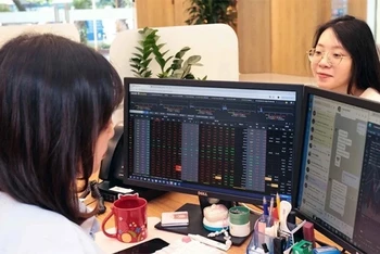 (Ảnh minh họa: TTXVN)