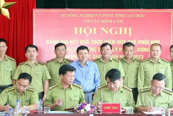 Ký kết quy chế phối hợp công tác quản lý bảo vệ rừng giáp ranh.
