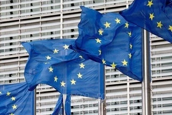 Động lực thúc đẩy sự phát triển của EU 