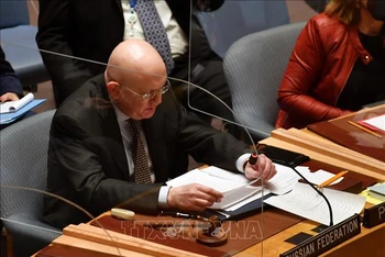 Đại diện thường trực của Nga tại LHQ Vasily Nebenzya. Ảnh tư liệu: AFP/TTXVN
