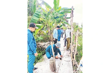 Chính quyền cùng nhân dân xã Trần Hợi (huyện Trần Văn Thời, tỉnh Cà Mau) gia cố những đoạn đường bị sụt lún, sạt lở để giao thông không bị gián đoạn.