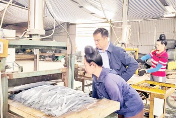Đại diện Ủy ban nhân dân thành phố Điện Biên Phủ kiểm tra cơ sở chế biến miến dong tại xã Nà Tấu.
