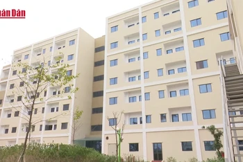 [Video] Phân khúc nhà ở phù hợp nhu cầu thực sẽ dễ tiếp cận nguồn vốn