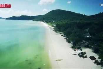 [Video] Phú Quốc sẽ trở thành đảo “không xe chạy xăng dầu”
