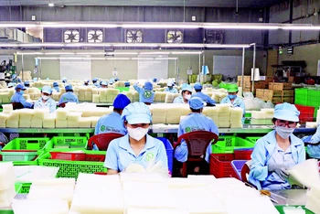 Dây chuyền sản xuất bánh tráng thành phẩm của Công ty TNHH Tân Nhiên, tỉnh Tây Ninh. (Ảnh: TTXVN)