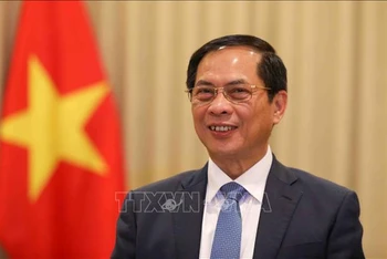 Phó Thủ tướng Chính phủ, Bộ trưởng Ngoại giao Bùi Thanh Sơn. Ảnh: TTXVN.