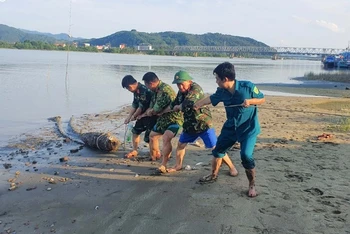 Lực lượng chức năng tiến hành trục vớt và tiêu hủy thành công quả bom. (Ảnh: Trọng Kiên)