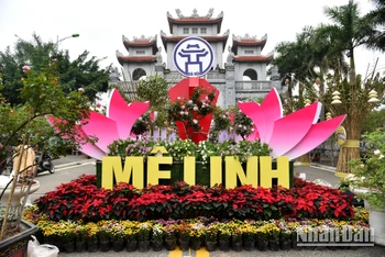 [Ảnh] Lễ hội hoa “Mê Linh rực rỡ sắc hoa” 2022